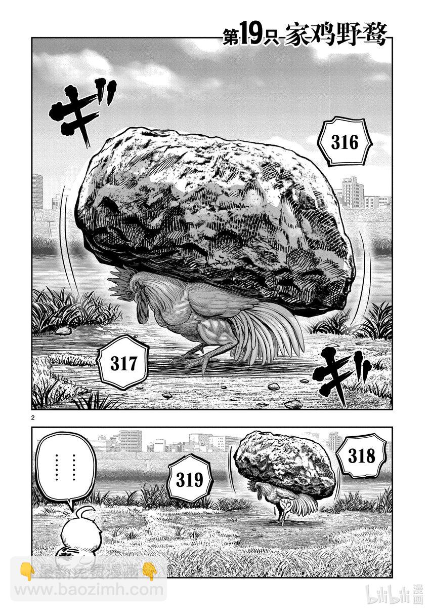 🍴鸡斗士 第19只 家鸡野鹜 第2页