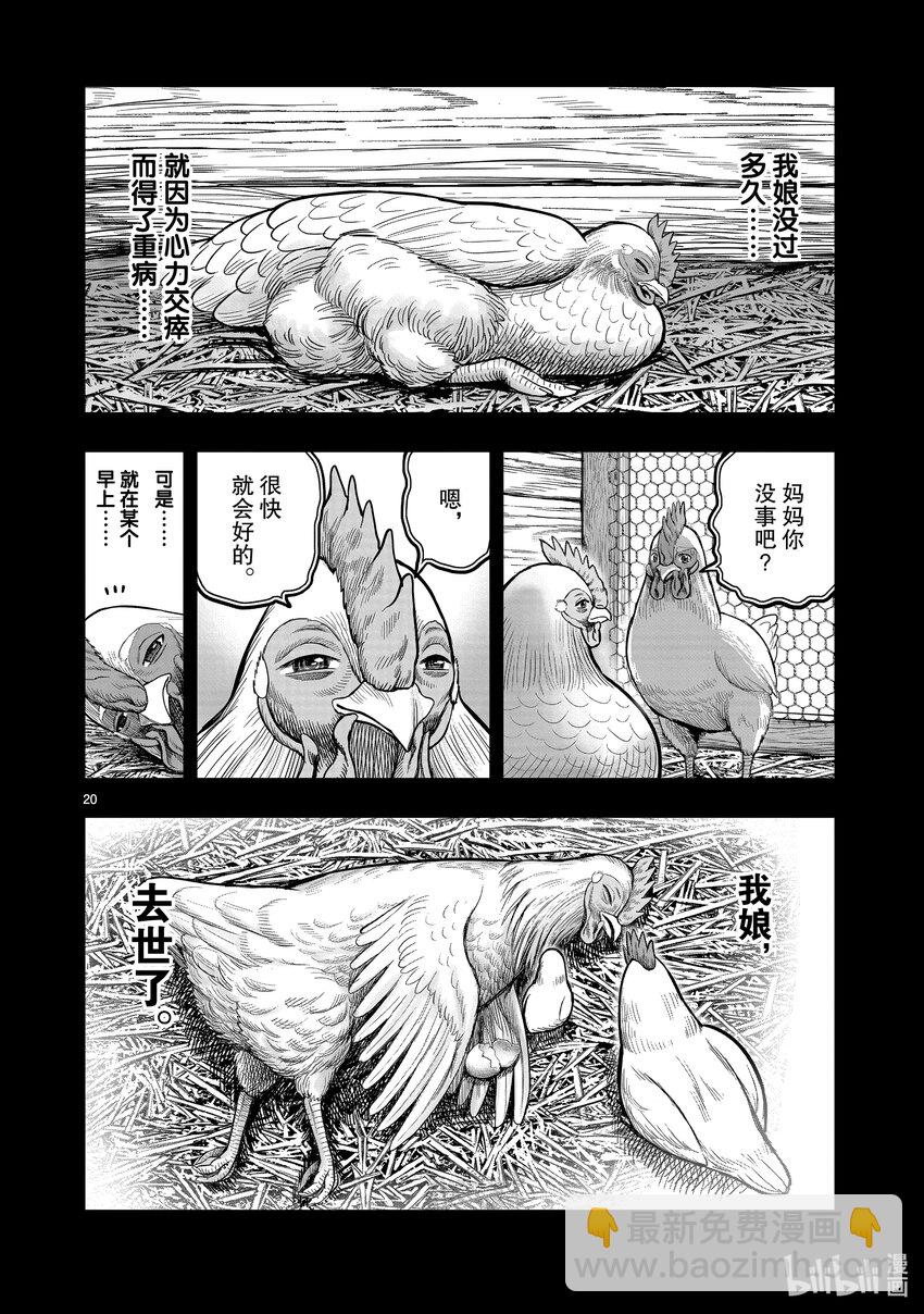 🍴鸡斗士 第19只 家鸡野鹜 第20页