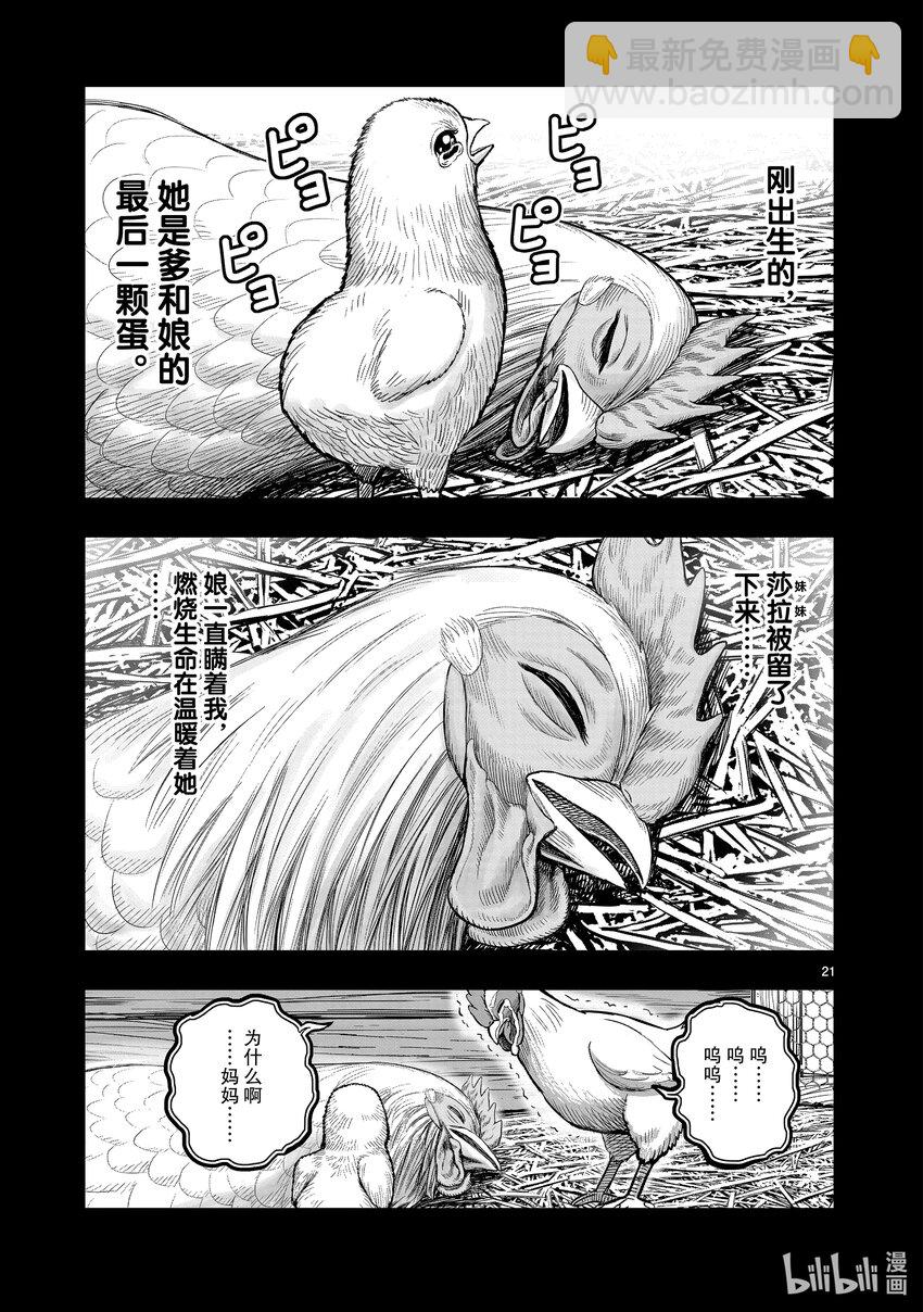 🍴鸡斗士 第19只 家鸡野鹜 第21页