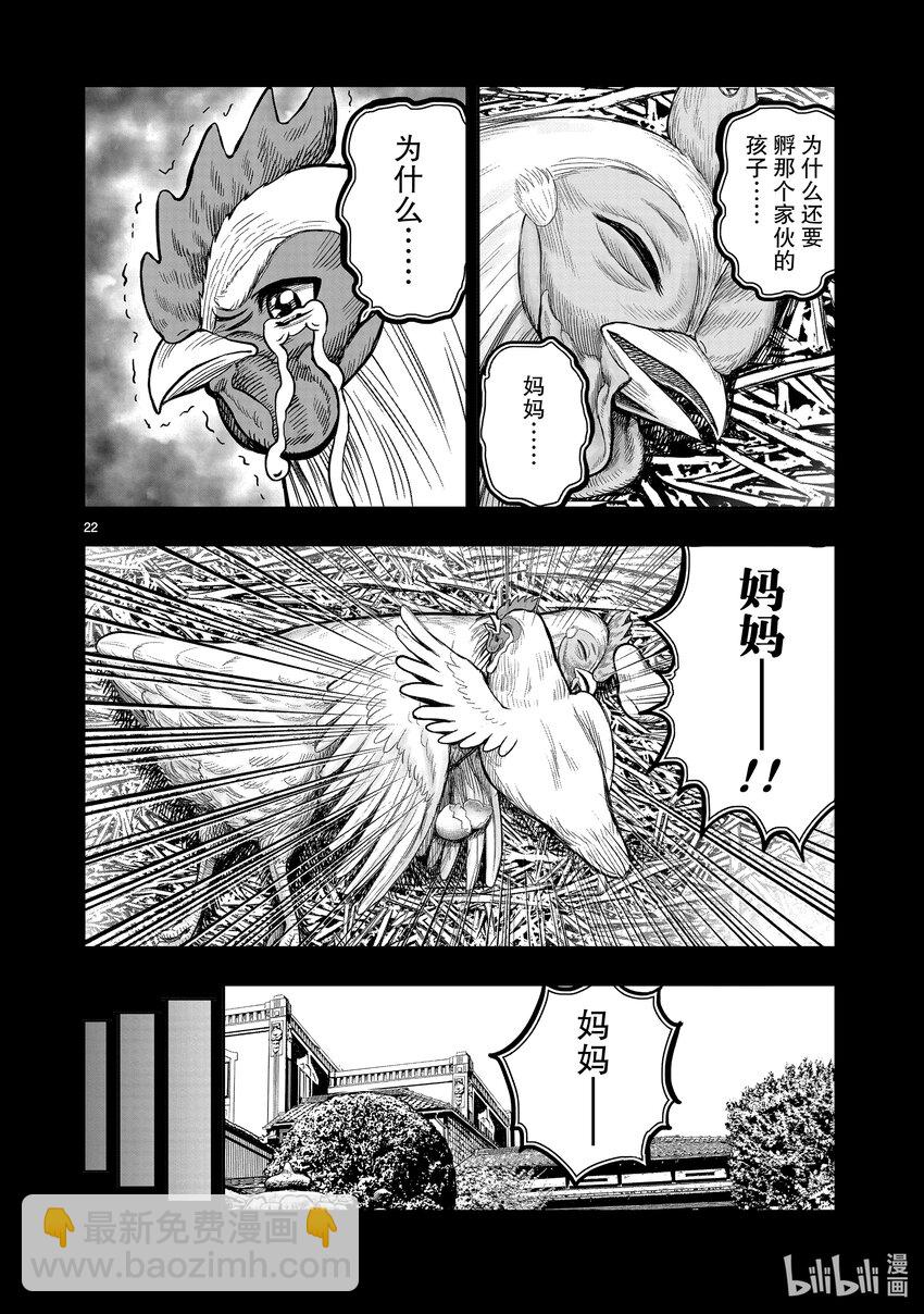 🍴鸡斗士 第19只 家鸡野鹜 第22页