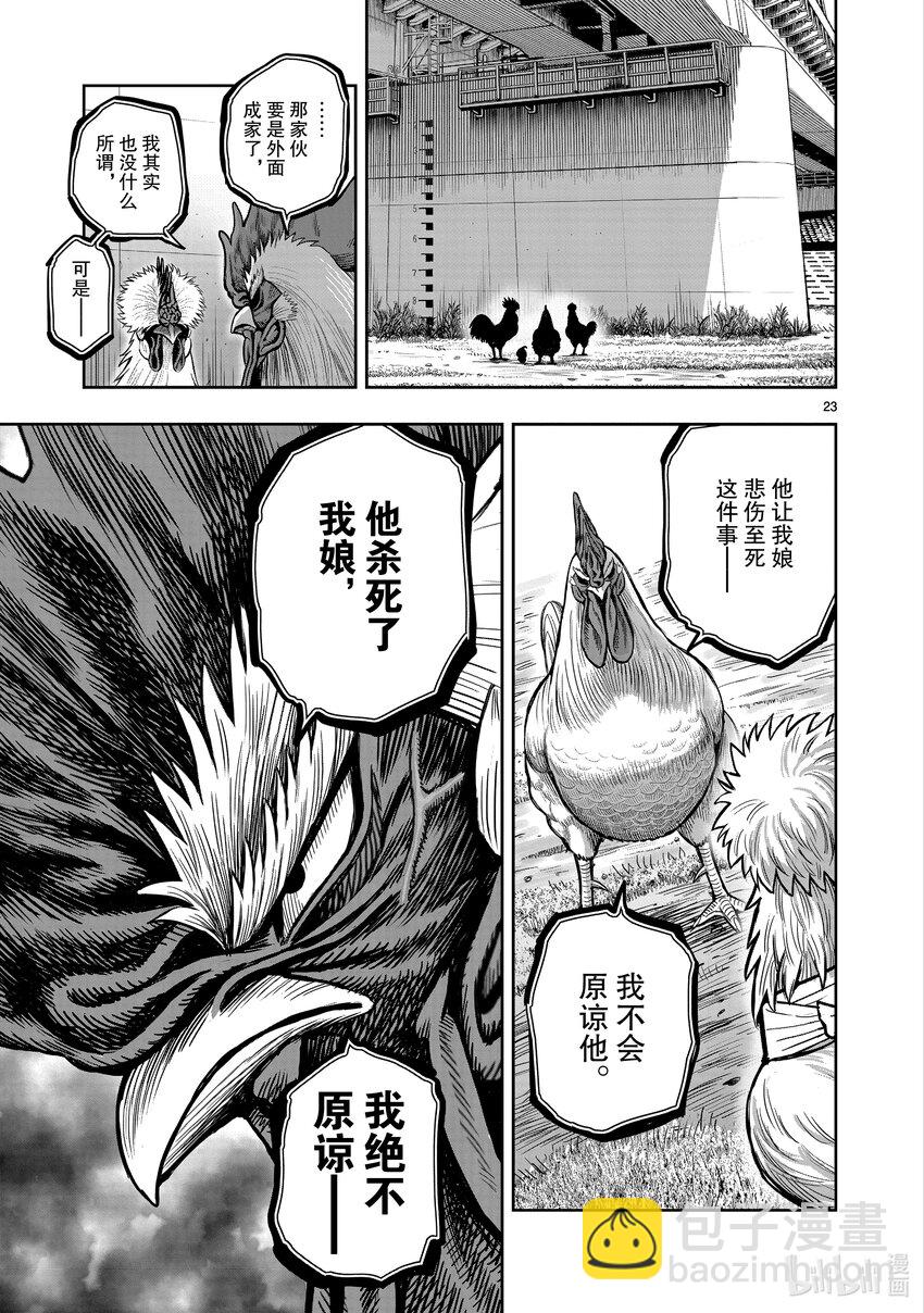 🍴鸡斗士 第19只 家鸡野鹜 第23页
