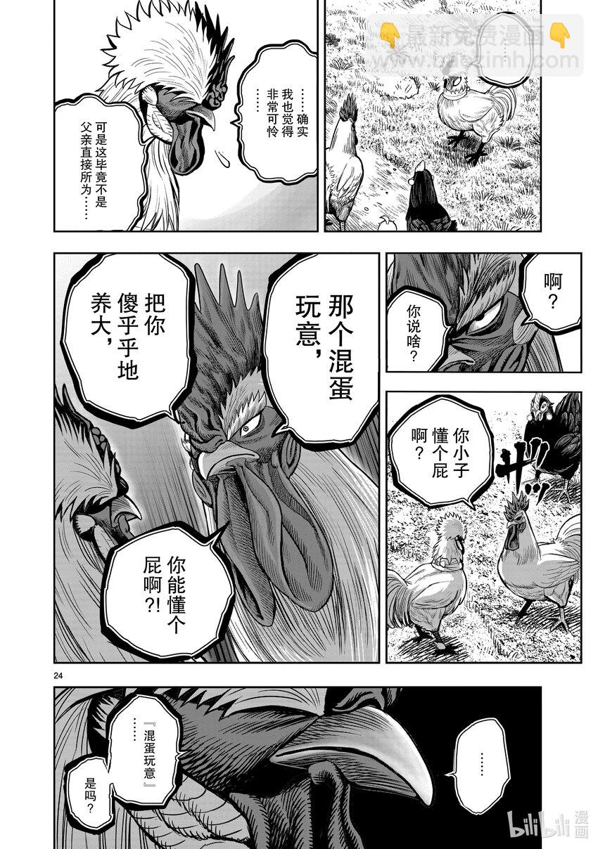 🍴鸡斗士 第19只 家鸡野鹜 第24页