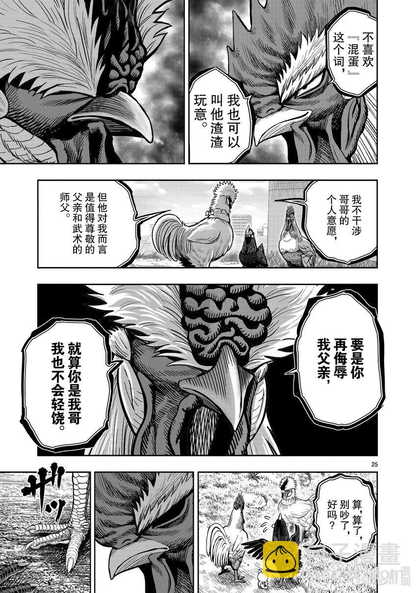 🍴鸡斗士 第19只 家鸡野鹜 第25页