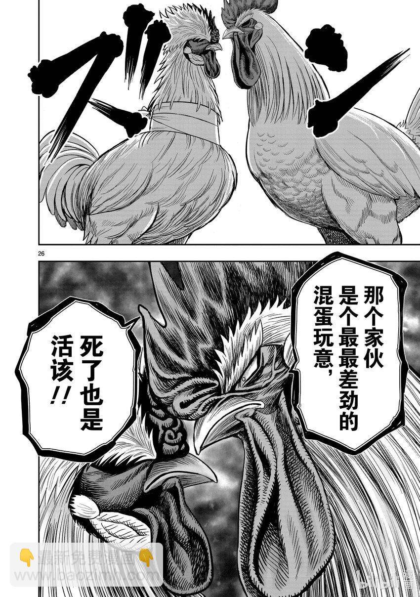 🍴鸡斗士 第19只 家鸡野鹜 第26页