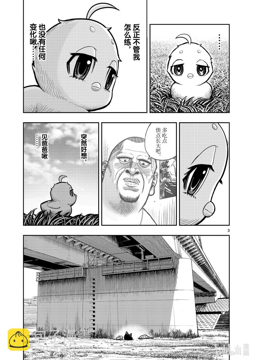 🍴鸡斗士 第19只 家鸡野鹜 第3页