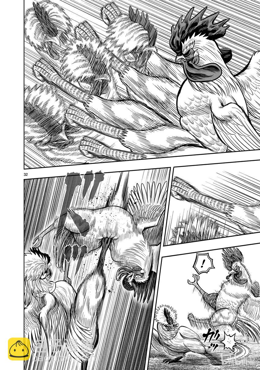 🍴鸡斗士 第19只 家鸡野鹜 第32页