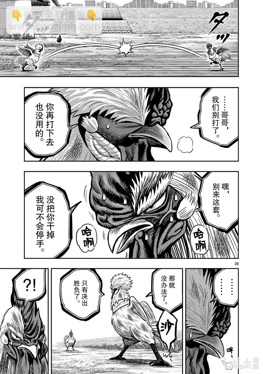 🍴鸡斗士 第19只 家鸡野鹜 第35页