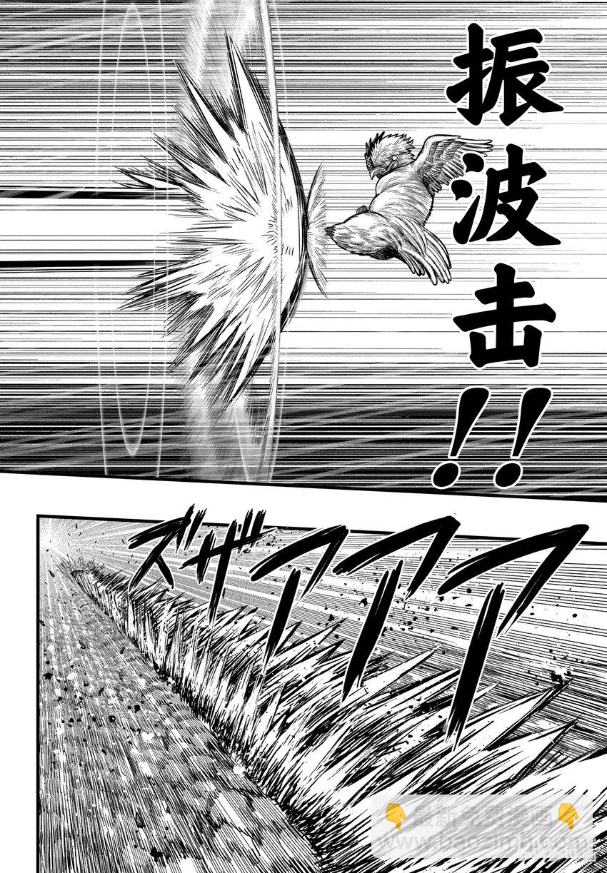🍴鸡斗士 第19只 家鸡野鹜 第38页
