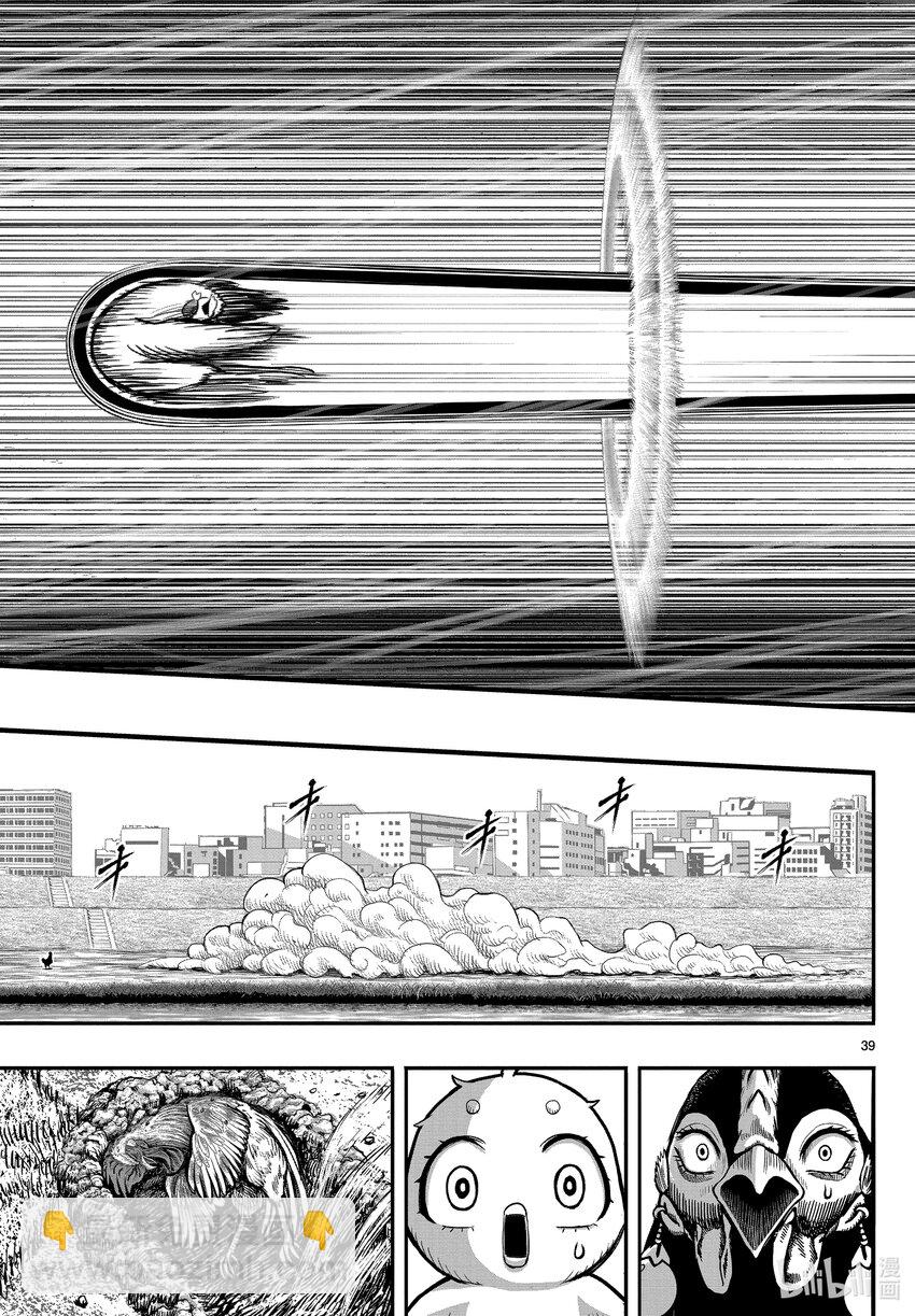 🍴鸡斗士 第19只 家鸡野鹜 第39页
