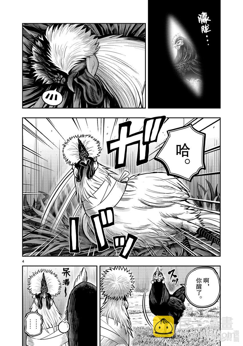 🍴鸡斗士 第19只 家鸡野鹜 第4页