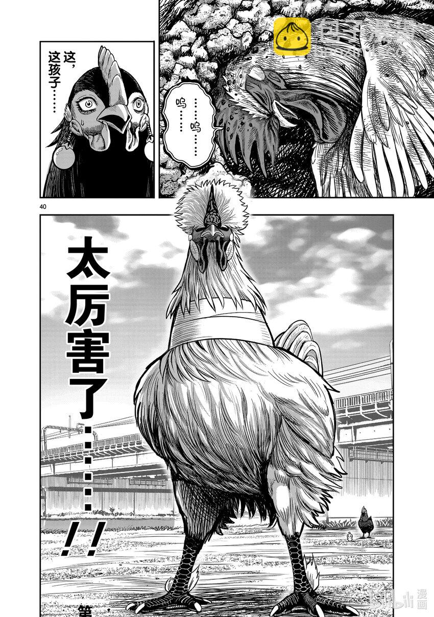 🍴鸡斗士 第19只 家鸡野鹜 第40页