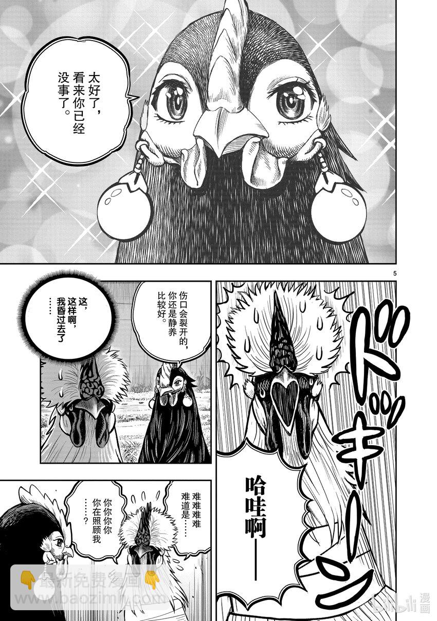 🍴鸡斗士 第19只 家鸡野鹜 第5页