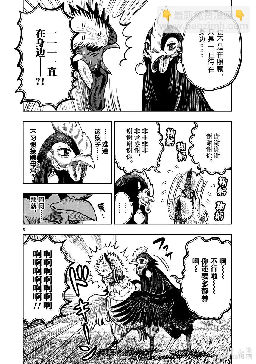 🍴鸡斗士 第19只 家鸡野鹜 第6页