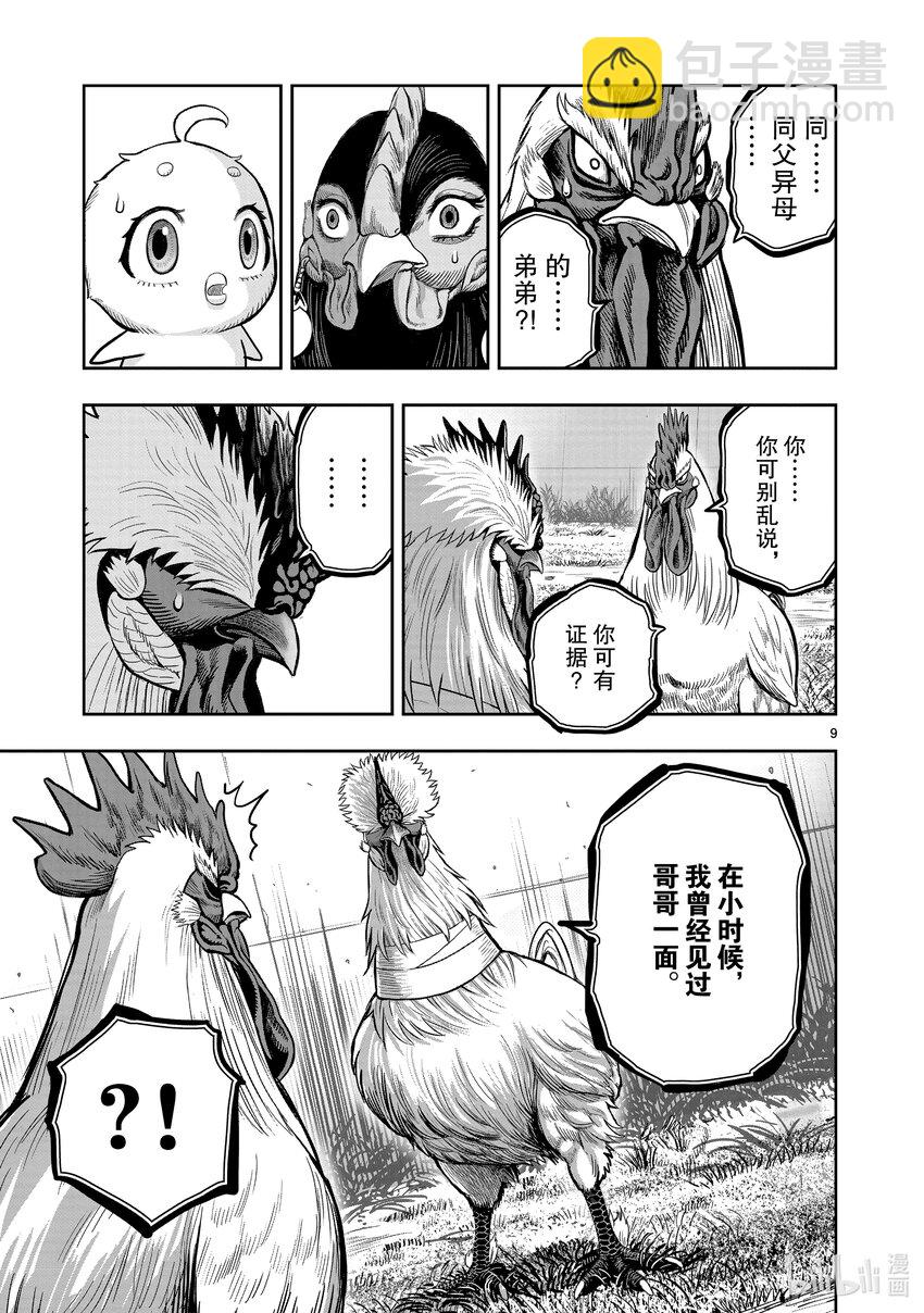 🍴鸡斗士 第19只 家鸡野鹜 第9页