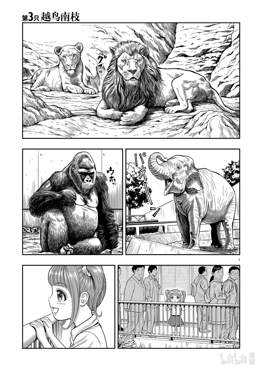 🍴鸡斗士 第3只 越鸟南枝 第1页
