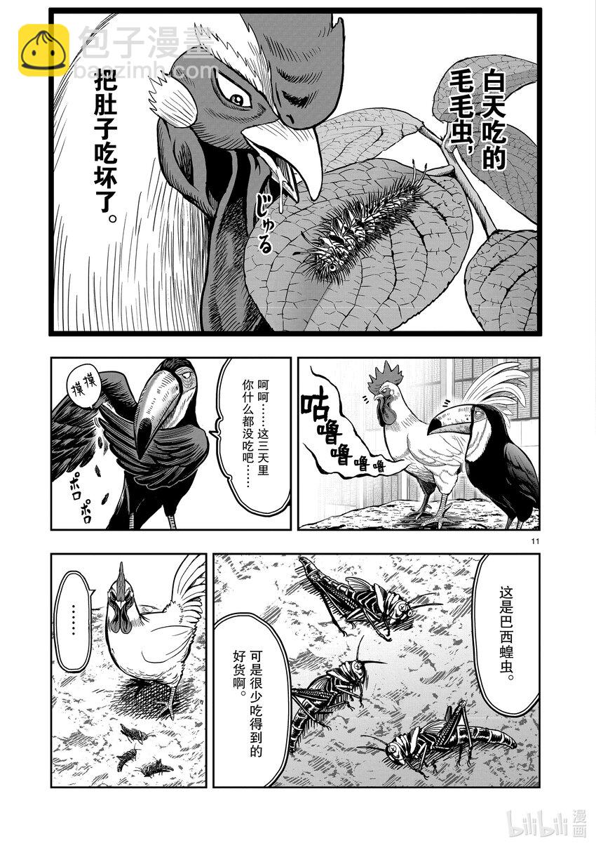 🍴鸡斗士 第3只 越鸟南枝 第11页