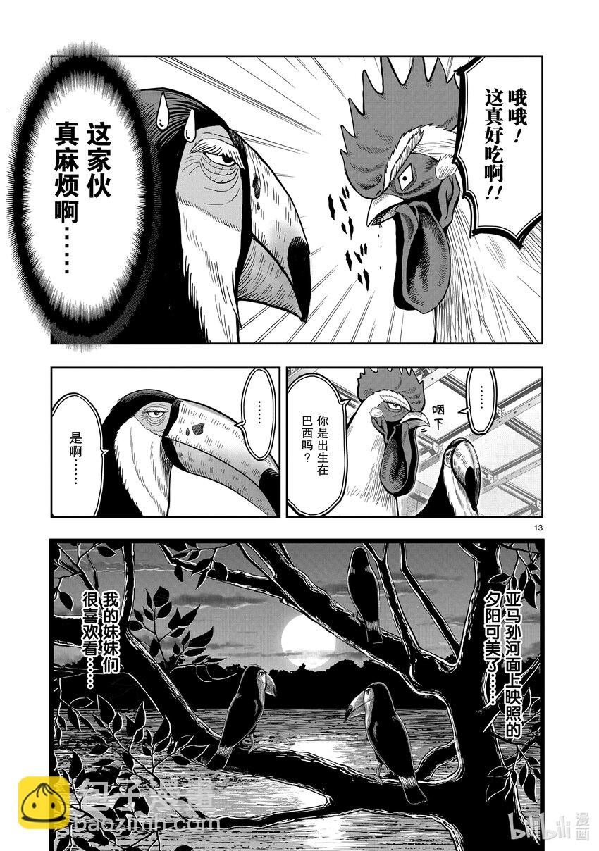 🍴鸡斗士 第3只 越鸟南枝 第13页