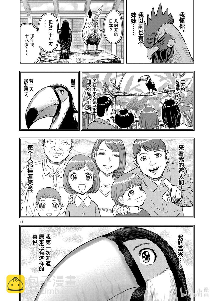 🍴鸡斗士 第3只 越鸟南枝 第14页