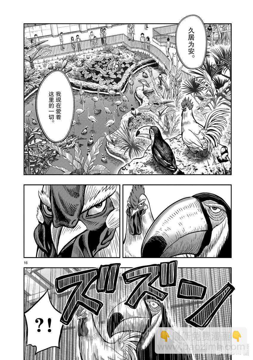 🍴鸡斗士 第3只 越鸟南枝 第16页