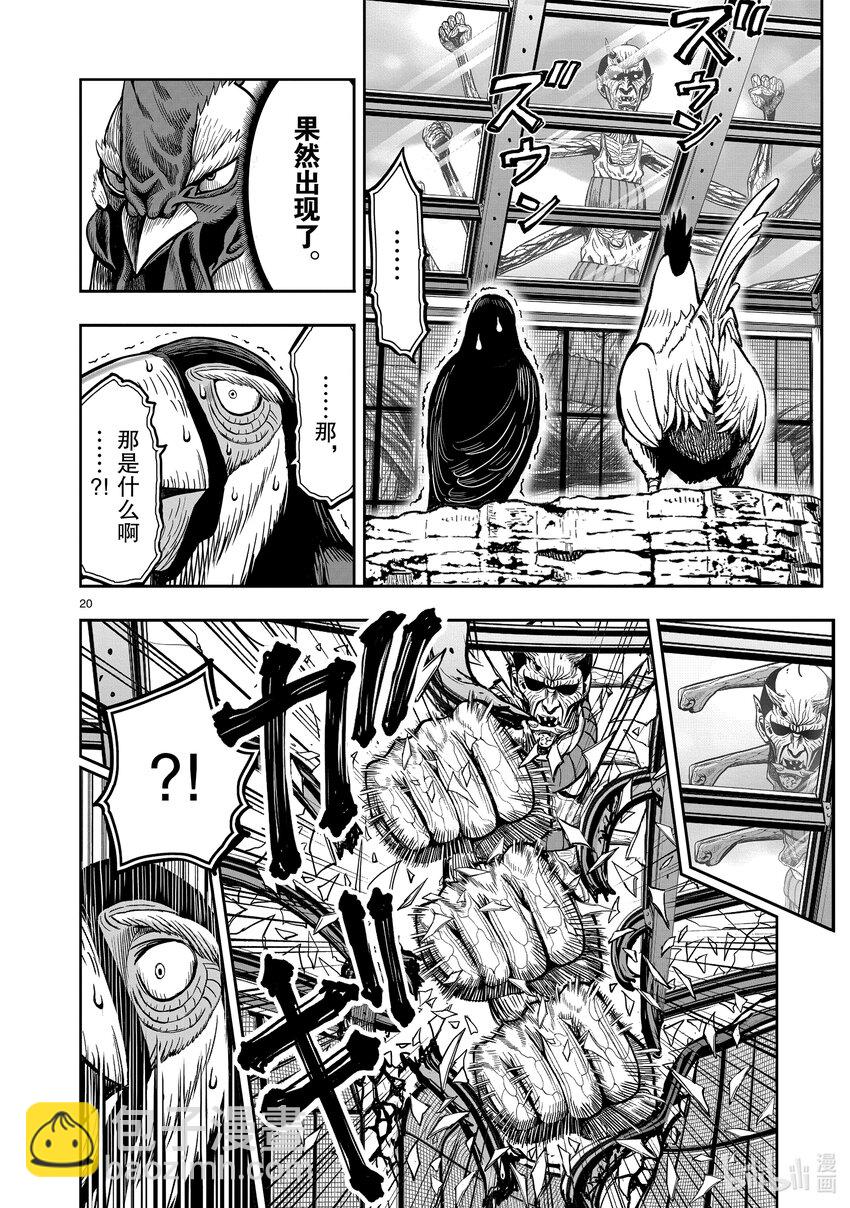 🍴鸡斗士 第3只 越鸟南枝 第20页
