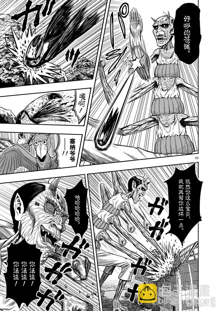 🍴鸡斗士 第3只 越鸟南枝 第23页