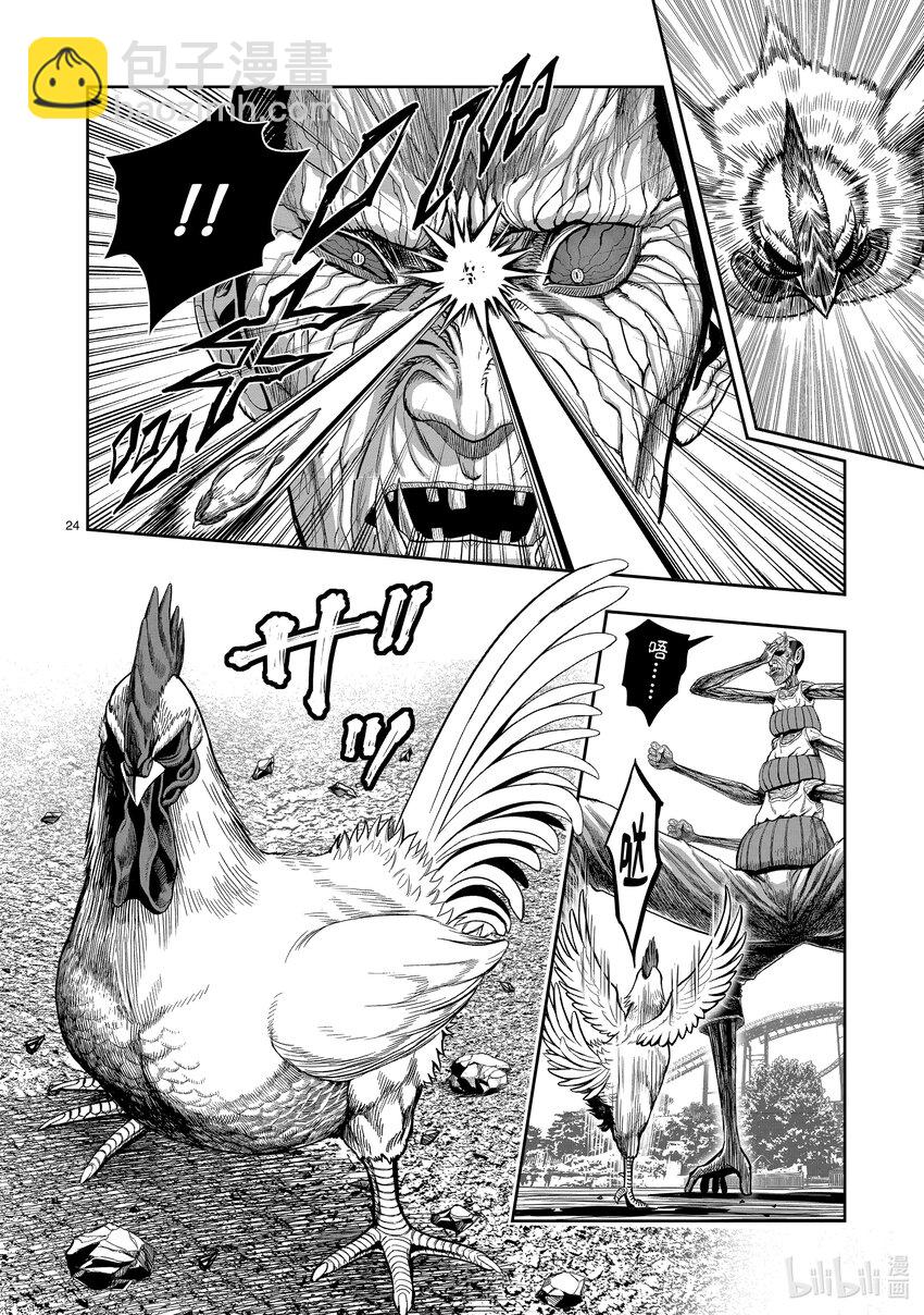 🍴鸡斗士 第3只 越鸟南枝 第24页
