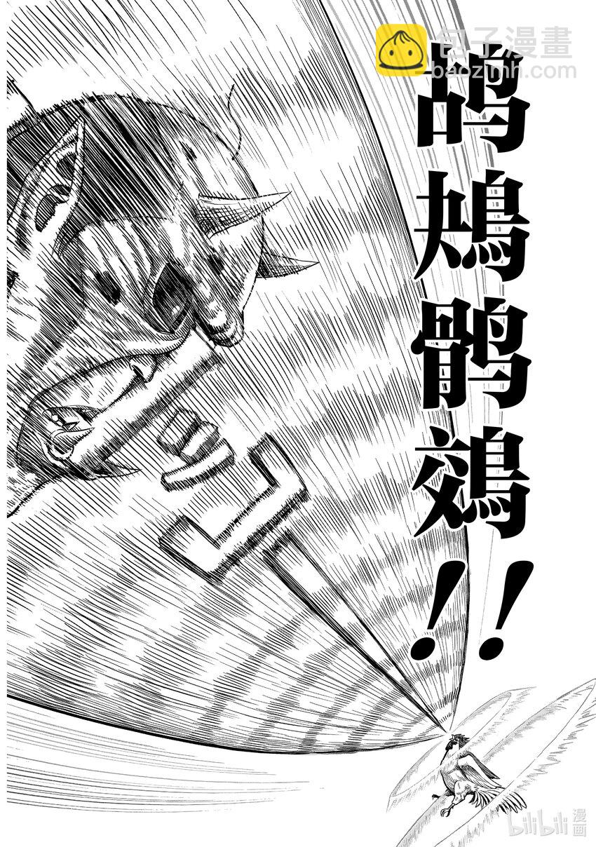 🍴鸡斗士 第3只 越鸟南枝 第28页
