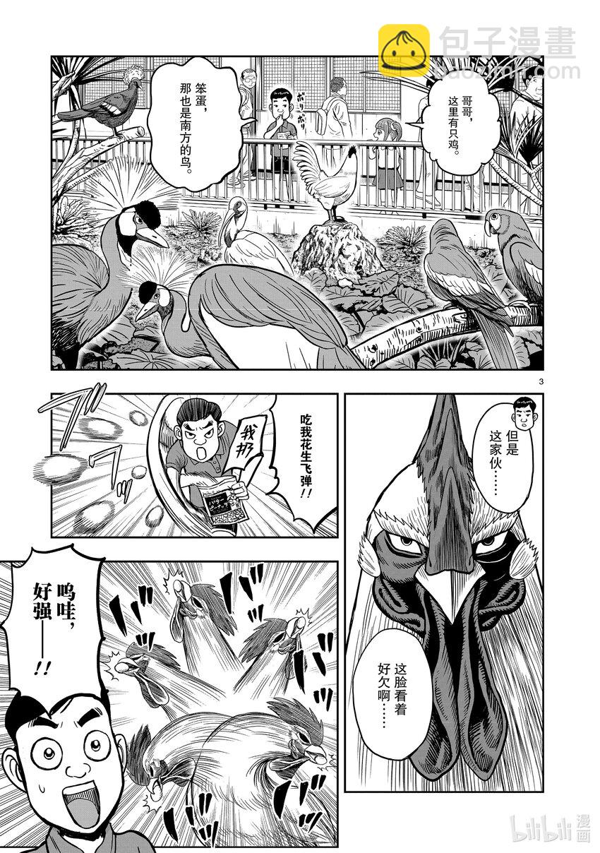 🍴鸡斗士 第3只 越鸟南枝 第3页