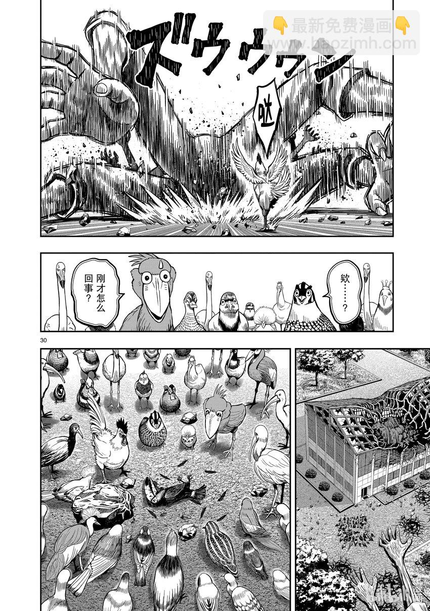 🍴鸡斗士 第3只 越鸟南枝 第30页