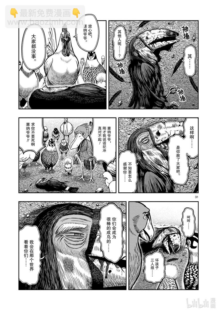 🍴鸡斗士 第3只 越鸟南枝 第31页