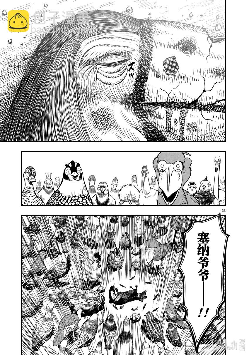 🍴鸡斗士 第3只 越鸟南枝 第33页