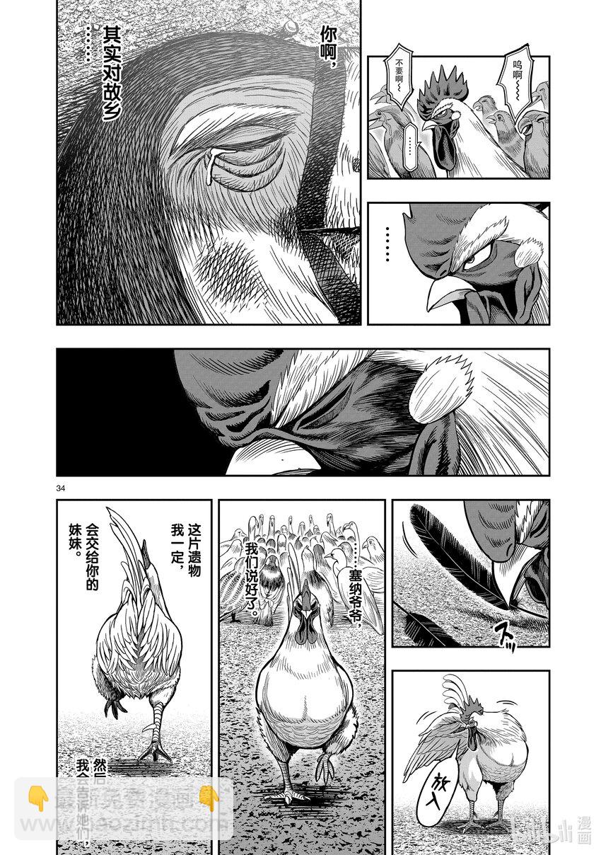 🍴鸡斗士 第3只 越鸟南枝 第34页