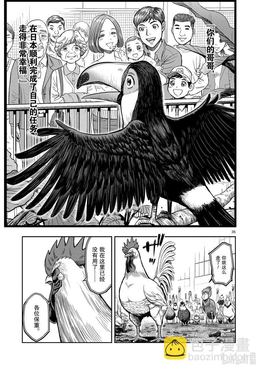 🍴鸡斗士 第3只 越鸟南枝 第35页