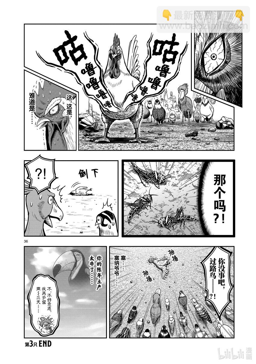 🍴鸡斗士 第3只 越鸟南枝 第36页