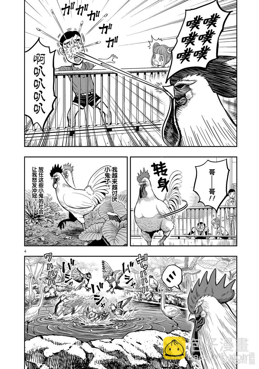 🍴鸡斗士 第3只 越鸟南枝 第4页