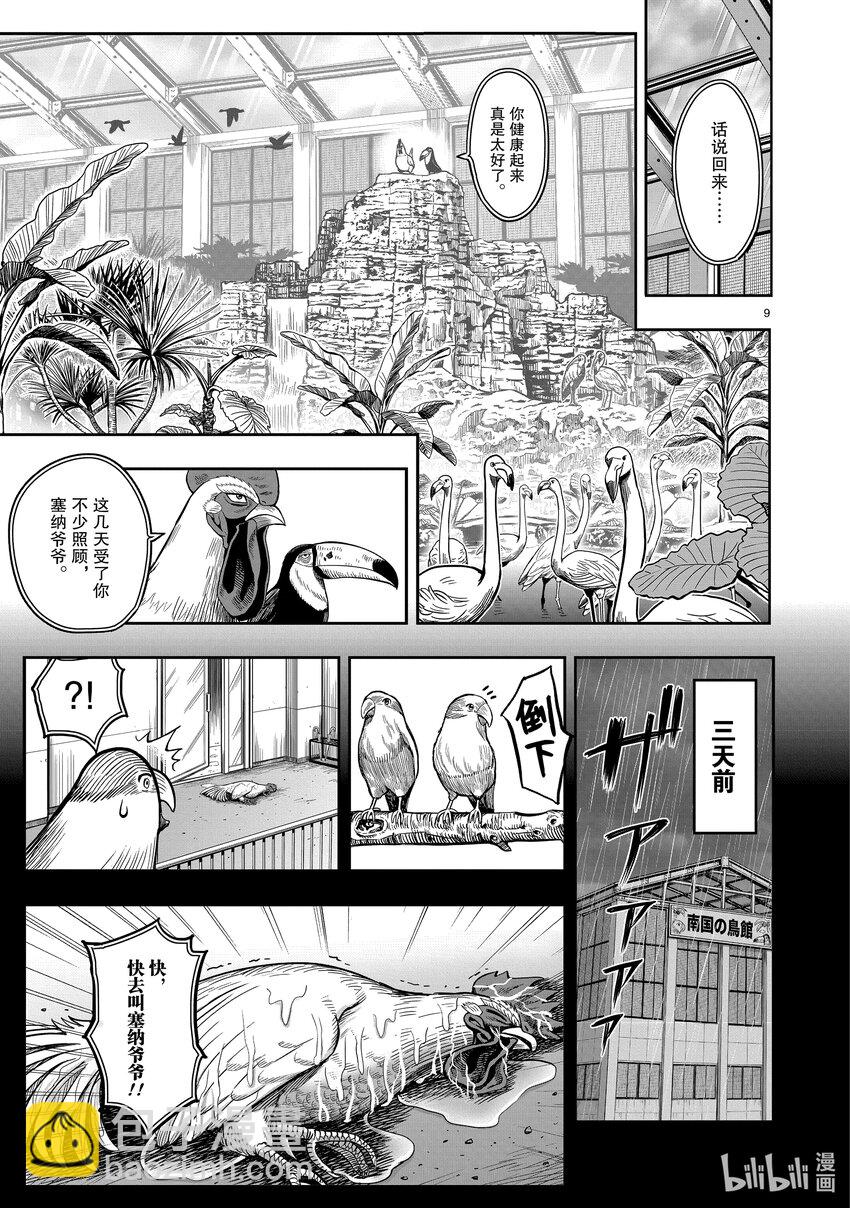 🍴鸡斗士 第3只 越鸟南枝 第9页