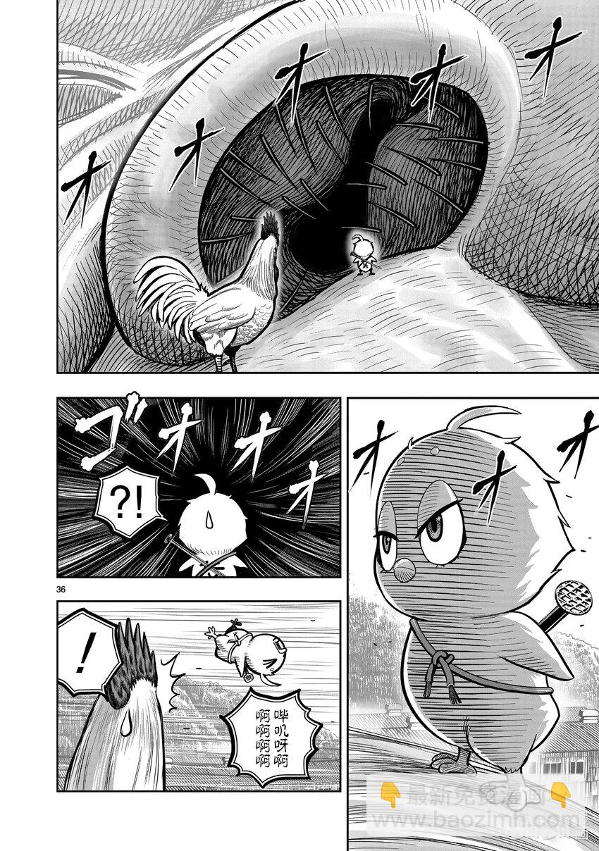 🍴鸡斗士 第23只 鸡鸣之助 第36页