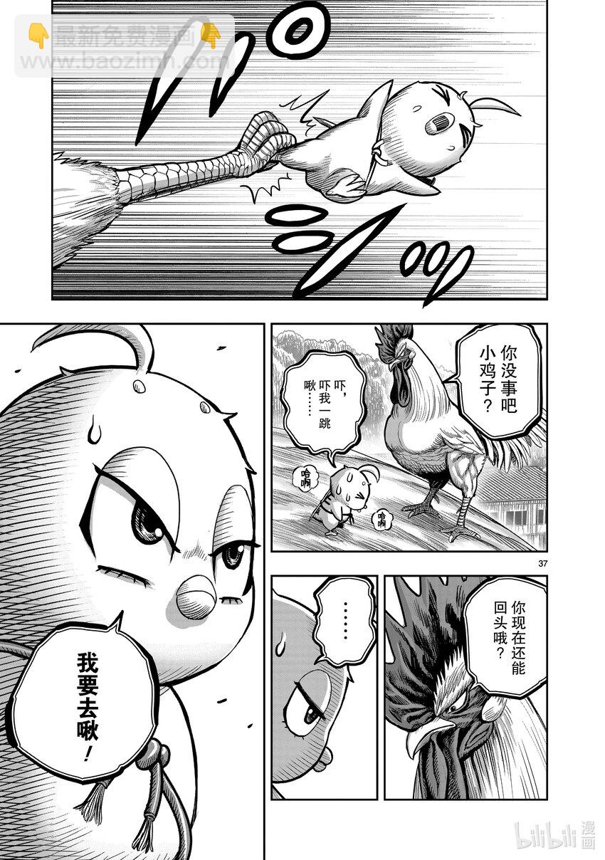 🍴鸡斗士 第23只 鸡鸣之助 第37页