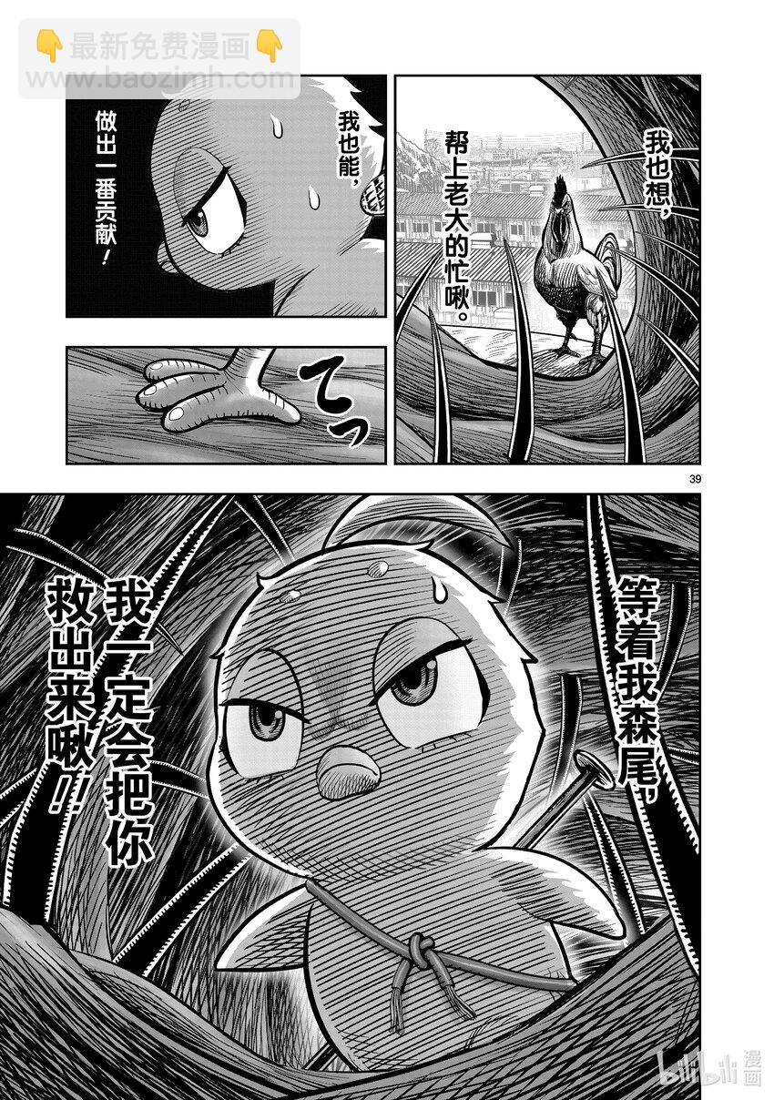 🍴鸡斗士 第23只 鸡鸣之助 第39页