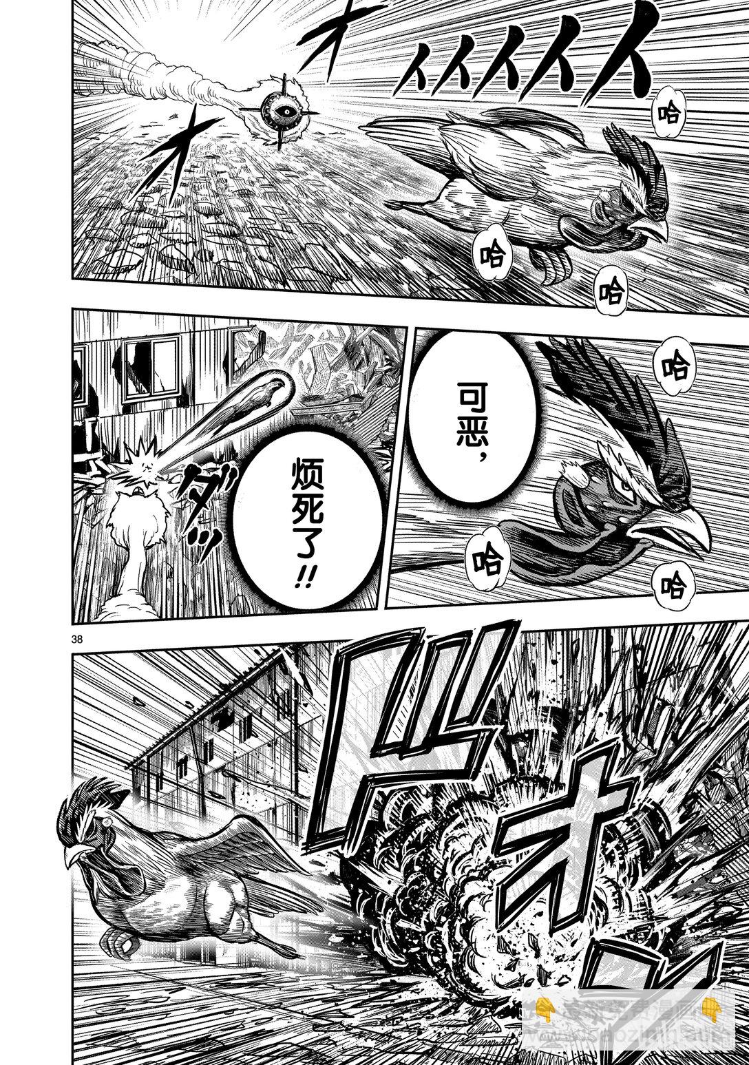 🍴鸡斗士 第25只 瓮里醯鸡 第41页
