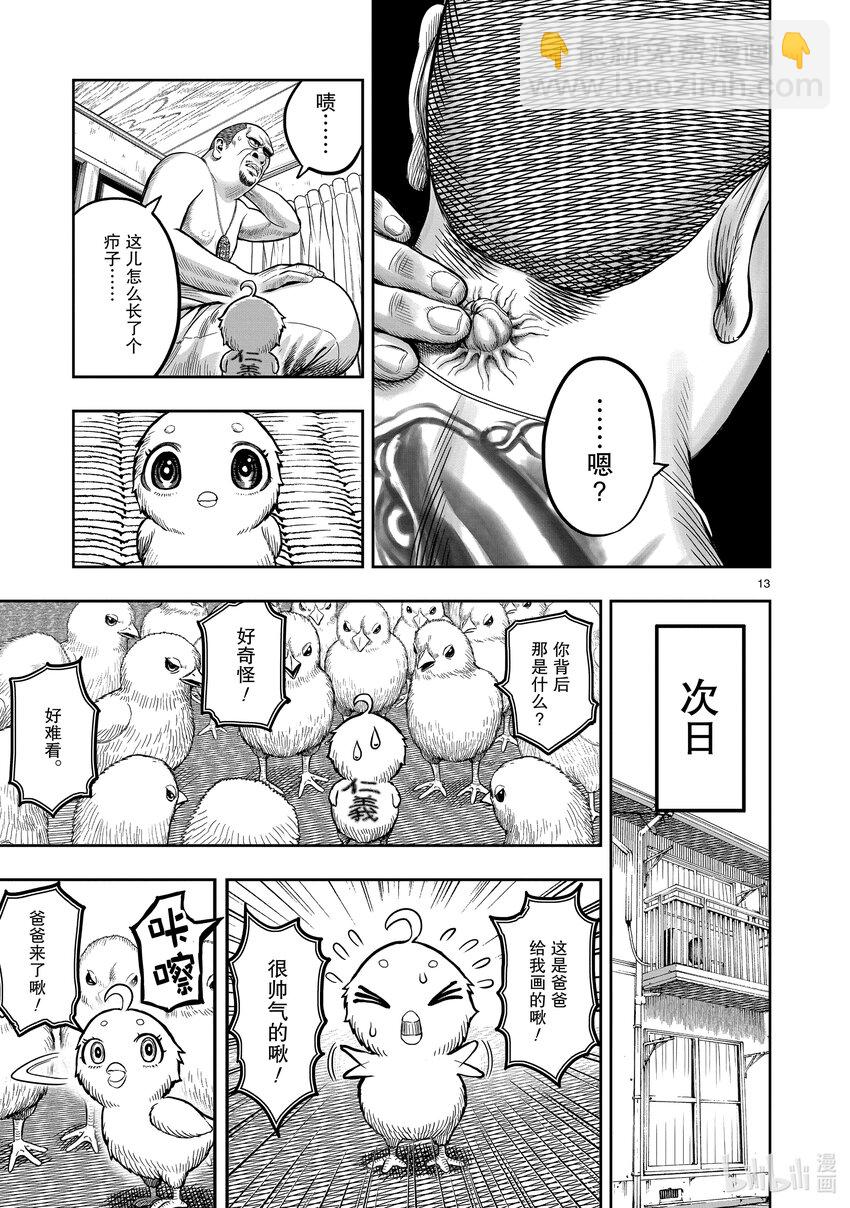 🍴鸡斗士 第5只 四鸟别离 第13页