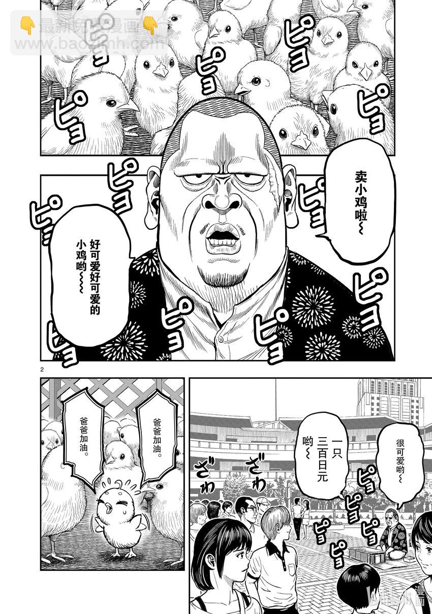 🍴鸡斗士 第5只 四鸟别离 第2页