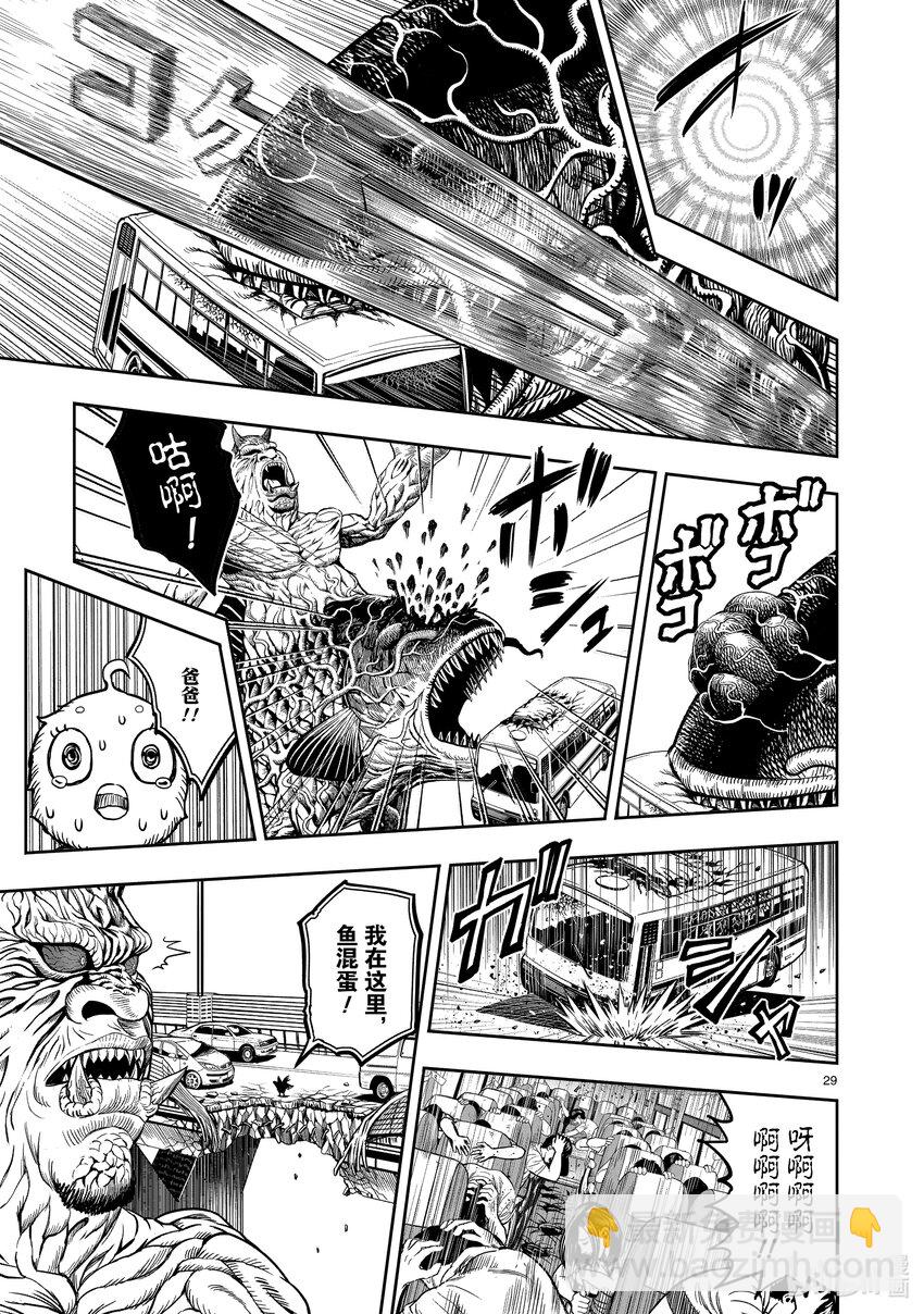 🍴鸡斗士 第5只 四鸟别离 第29页