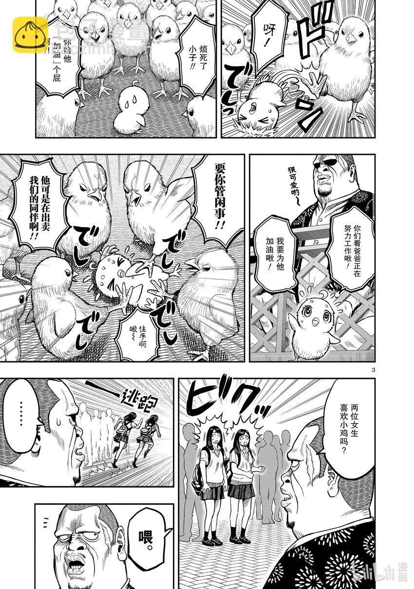 🍴鸡斗士 第5只 四鸟别离 第3页