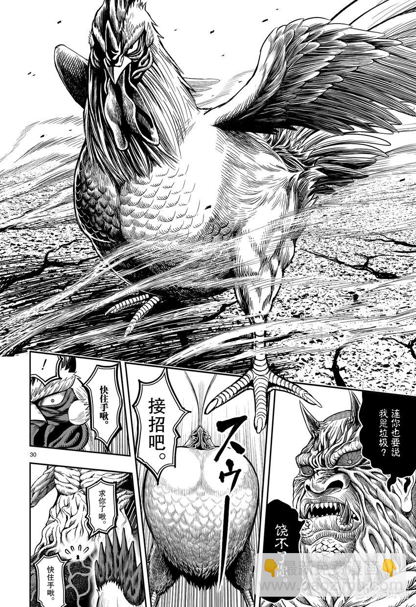 🍴鸡斗士 第5只 四鸟别离 第30页