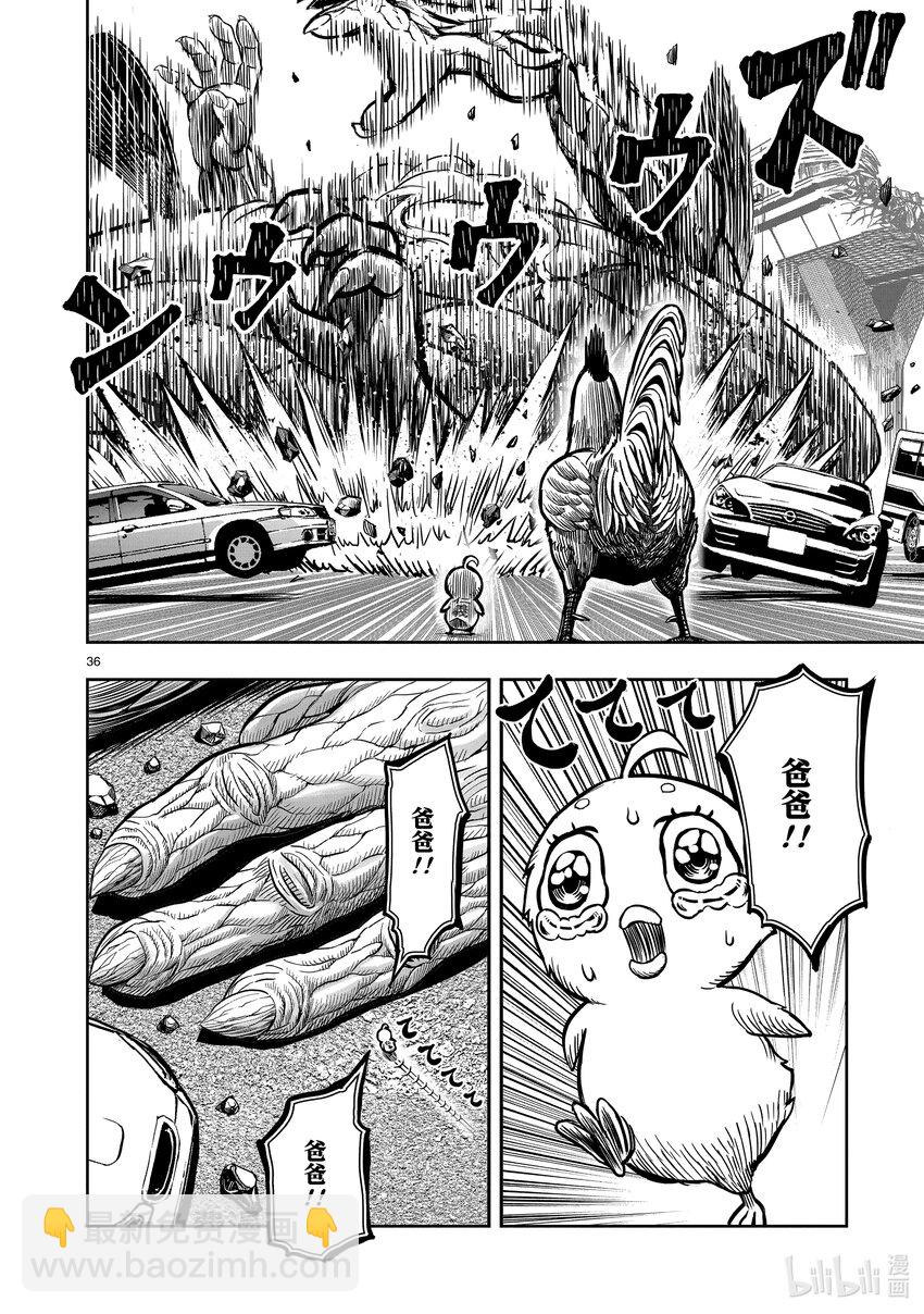 🍴鸡斗士 第5只 四鸟别离 第36页