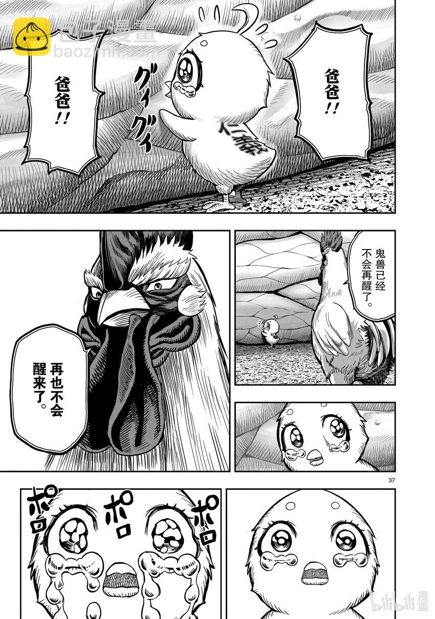 🍴鸡斗士 第5只 四鸟别离 第37页