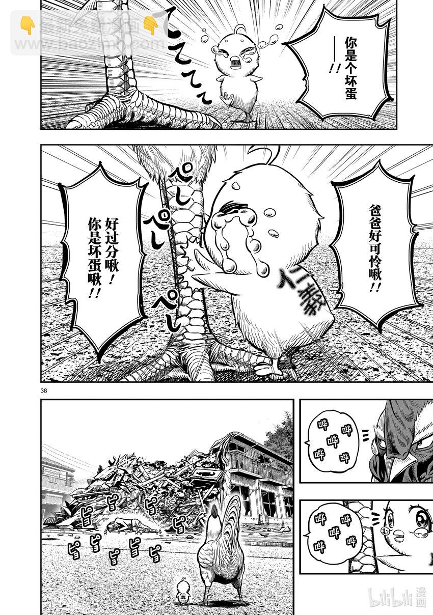 🍴鸡斗士 第5只 四鸟别离 第38页