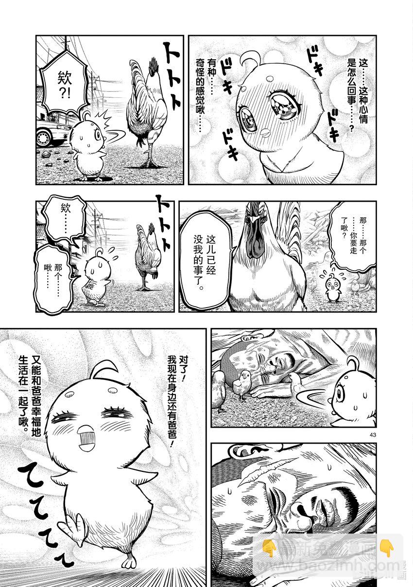 🍴鸡斗士 第5只 四鸟别离 第43页