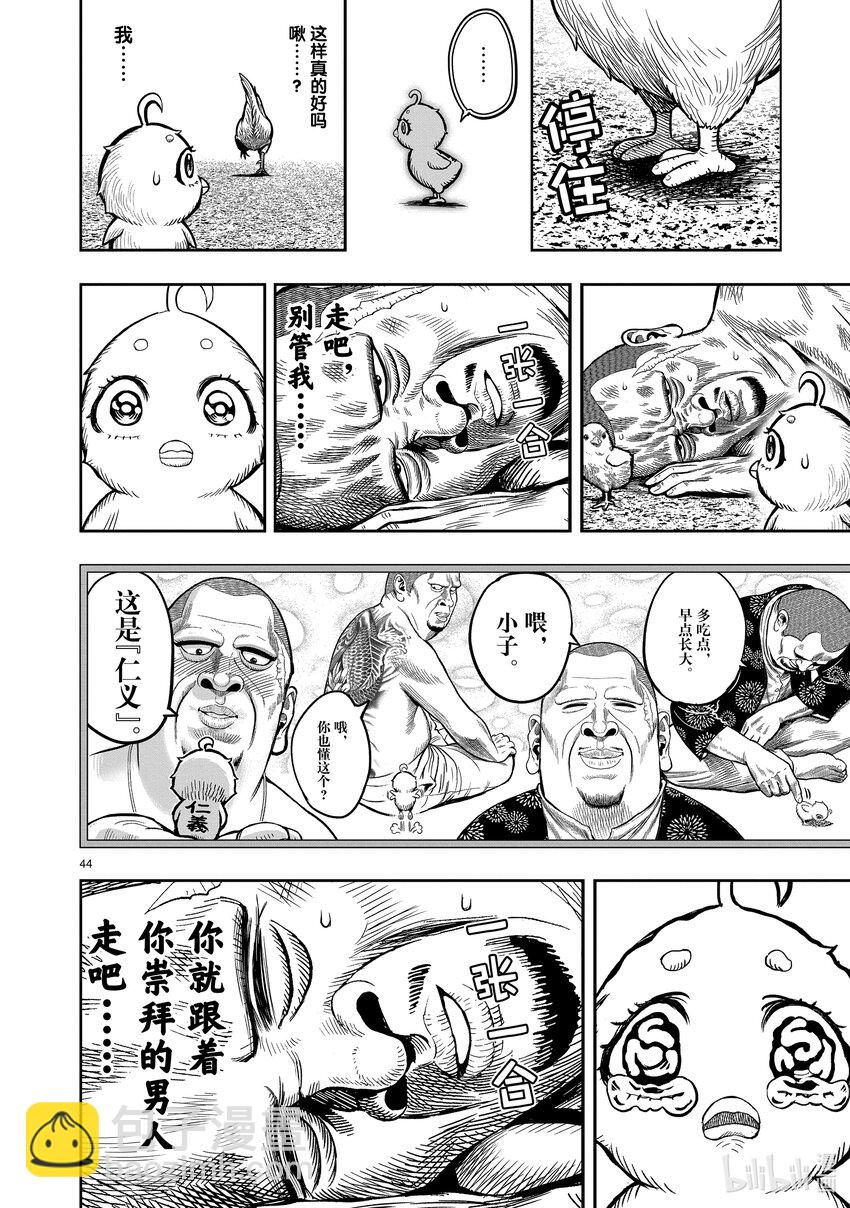 🍴鸡斗士 第5只 四鸟别离 第44页